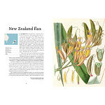 Прекрасно иллюстрированная книга более 100 ботанических произведений Plant Hunters Atlas варинант исполнения - 3 | Loft Concept в Рязани