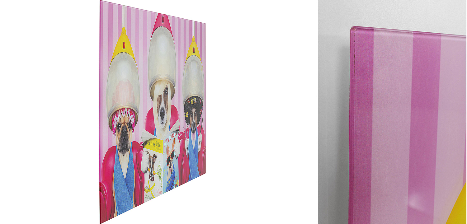 Картина Dogs in a beauty salon  - Loft-Concept в Рязани