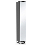 Шкаф-пенал с зеркальной дверцей и фасадом цвета графит Strict Lines варинант исполнения - 1 | Loft Concept в Рязани