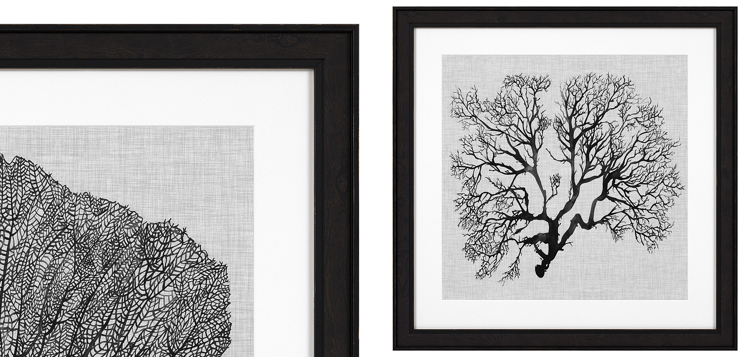 Комплект постеров Eichholtz Prints Shadow Sea Fans set of 4 Комплект постеров Eichholtz Prints Shadow Sea Fans set of 4 - Loft-Concept в Рязани