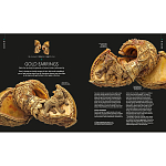 Книга Treasures of India From Antiquity to Modernity варинант исполнения - 3 | Loft Concept в Рязани