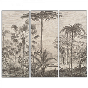 Комплект из 3-х постеров Тропический Лес