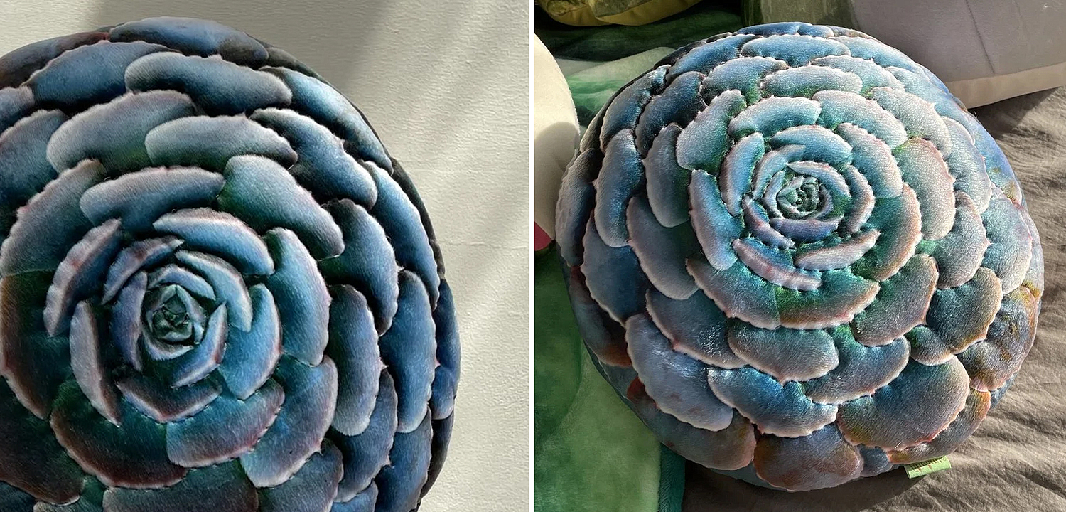 Декоративная подушка Botanical Cushion Succulentus Декоративная подушка Botanical Cushion Succulentus - Loft-Concept в Рязани