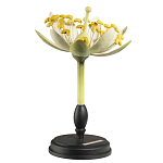 Статуэтка Tilia варинант исполнения - 2 | Loft Concept в Рязани