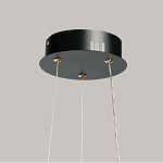 Люстра с прозрачным волнистым плафоном в форме цветка Ethereal Bloom варинант исполнения - 11 | Loft Concept в Рязани