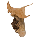 Статуэтка из дерева скат Animals of the World варинант исполнения - 2 | Loft Concept в Рязани