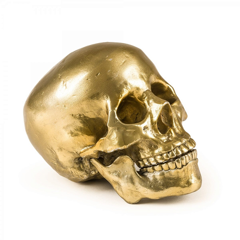 Статуэтка Seletti Wunderkrammer Human Skull Золотой Статуэтка Seletti Wunderkrammer Human Skull Золотой в Рязани | Loft Concept