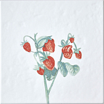 Плитка с узором Земляника варинант исполнения - 2 | Loft Concept в Рязани