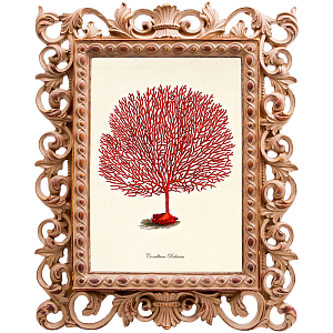 Постер Red Coral Poster 3