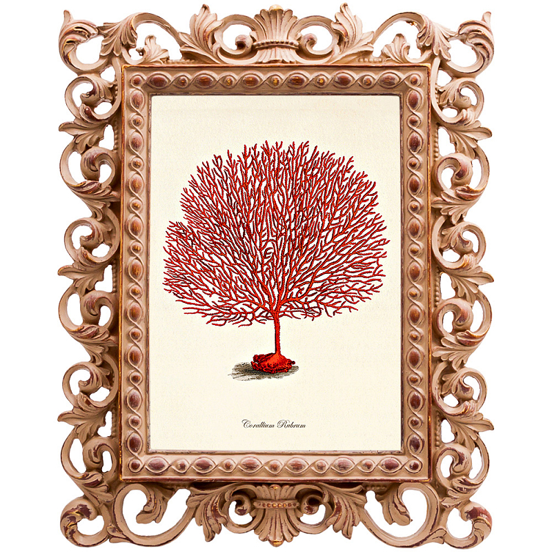 Постер Red Coral Poster 3 Бежевый Красный Постер Red Coral Poster 3 Бежевый Красный в Рязани | Loft Concept