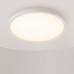 Потолочный светильник Incognito 2700-4000К 46Вт варинант исполнения - 4 | Loft Concept в Рязани