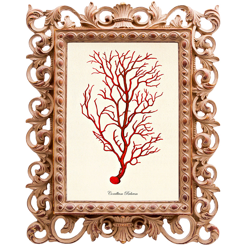 Постер Red Coral Poster 4 Бежевый Красный Постер Red Coral Poster 4 Бежевый Красный в Рязани | Loft Concept