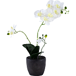 Декоративный искусственное растение Angel Orchid варинант исполнения - 1 | Loft Concept в Рязани