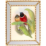 Постер с изображением птиц и цветов в зеркальной раме Blooming Birds Poster варинант исполнения - 6 | Loft Concept в Рязани