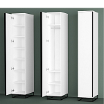 Шкаф-пенал белый с зеркальной дверцей Strict Lines варинант исполнения - 5 | Loft Concept в Рязани