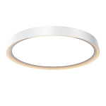 Потолочный светильник Incognito 2700-4000К 46Вт варинант исполнения - 1 | Loft Concept в Рязани