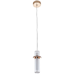 Подвесной светильник золото Odile Acrylic Tube Hanging Lamp Gold варинант исполнения - 2 | Loft Concept в Рязани