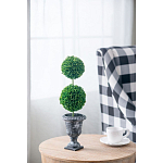 Декоративный искусственное растение Double boxwood варинант исполнения - 5 | Loft Concept в Рязани