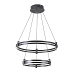 Люстра светодиодная с 2-мя плафонами в форме колец из акрила и алюминия с пультом для регулировки света Ring Horizontal Black варинант исполнения - 4 | Loft Concept в Рязани