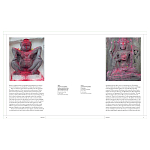 Книга Tantra: Enlightenment to Revolution варинант исполнения - 4 | Loft Concept в Рязани