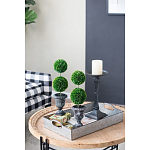 Декоративный искусственное растение Double boxwood варинант исполнения - 8 | Loft Concept в Рязани