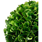 Декоративный искусственное растение Single boxwood варинант исполнения - 2 | Loft Concept в Рязани