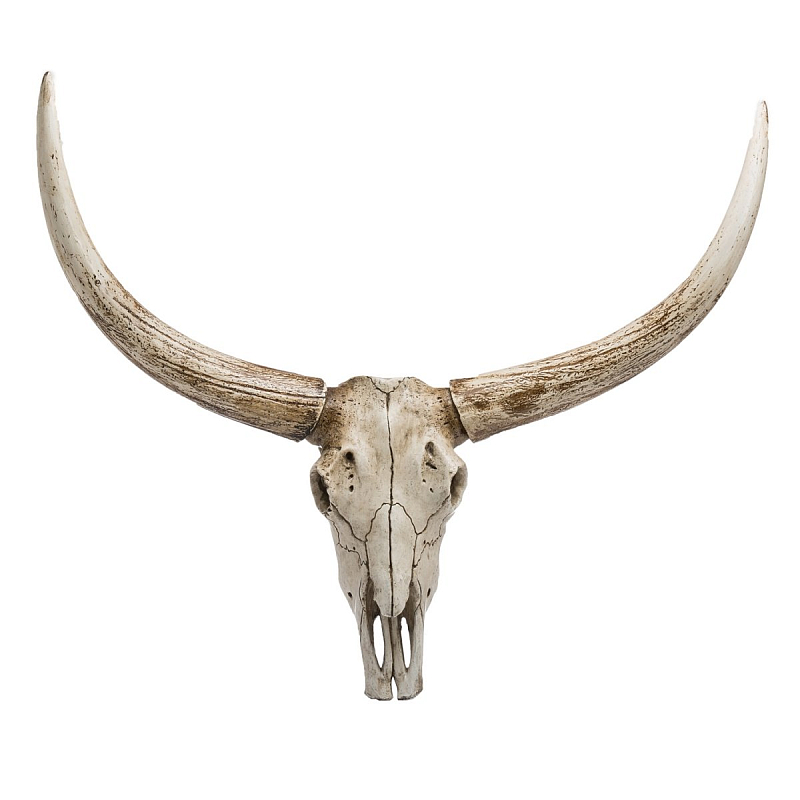 Череп быка Bull Skull Бежево-серый Череп быка Bull Skull Бежево-серый в Рязани | Loft Concept