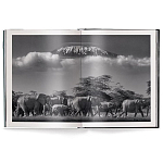 Книга Beusker. Look into my Eyes варинант исполнения - 2 | Loft Concept в Рязани