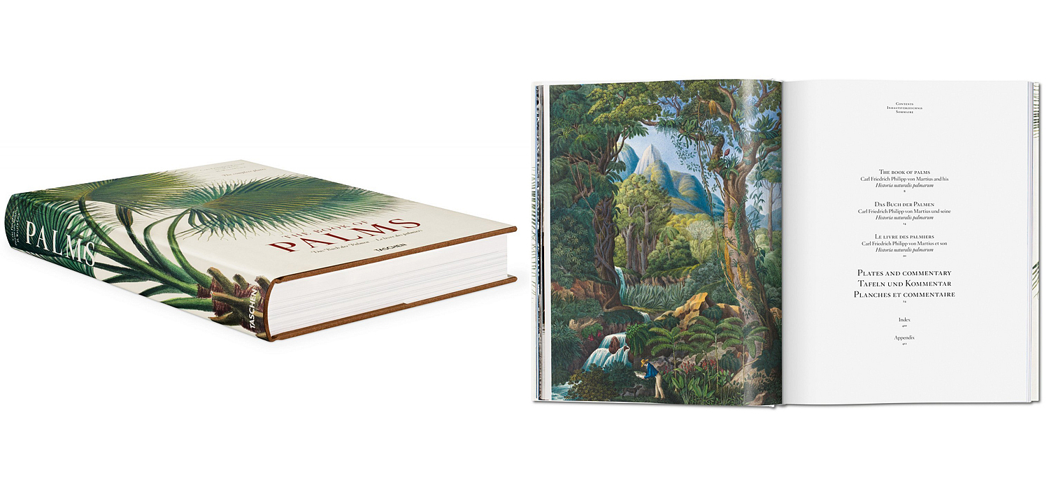 Книга The Book of Palms Книга The Book of Palms - Loft-Concept в Рязани