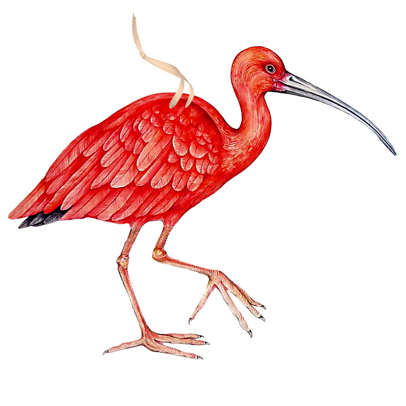Арт-объект Scarlet Ibis Красный Арт-объект Scarlet Ibis Красный в Рязани | Loft Concept