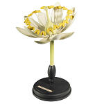 Статуэтка Tilia варинант исполнения - 3 | Loft Concept в Рязани