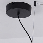 Люстра подвесная светодиодная черный металл Ring Horizontal варинант исполнения - 13 | Loft Concept в Рязани