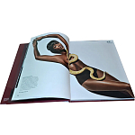 Коллекционная книга Art in Vogue варинант исполнения - 1 | Loft Concept в Рязани