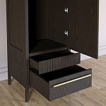 Узкий Шкаф Primo с 2 выдвижными ящиками Темный орех варинант исполнения - 5 | Loft Concept в Рязани