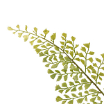 Декоративный искусственное растение Dried flower варинант исполнения - 3 | Loft Concept в Рязани