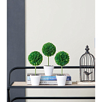 Декоративный искусственное растение Boxwood One варинант исполнения - 9 | Loft Concept в Рязани