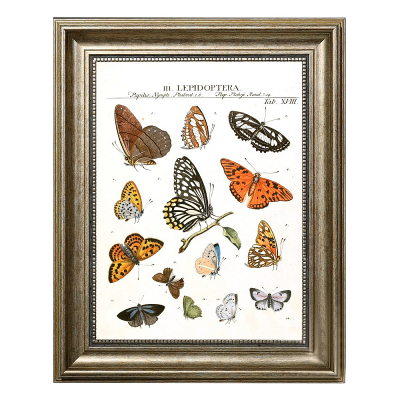Постер Little Butterflies Постер Little Butterflies в Рязани | Loft Concept