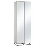 Двухдверный шкаф с зеркальными дверцами Strict Lines варинант исполнения - 5 | Loft Concept в Рязани