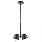 Подвесной светильник черный с 2-мя плафонами Pendant lamp Black варинант исполнения - 1 | Loft Concept в Рязани