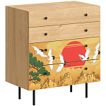 Комод с принтом на ящиках Elise Chest of Drawers варинант исполнения - 4 | Loft Concept в Рязани