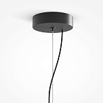 Подвесной светильник Rare grapes варинант исполнения - 4 | Loft Concept в Рязани