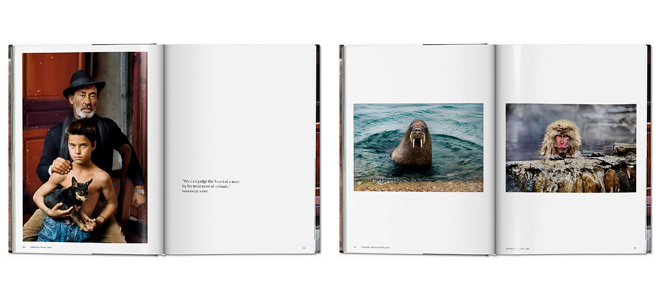Steve McCurry. Animals Steve McCurry. Animals - Loft-Concept в Рязани