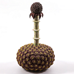 Статуэтка тропический фрукт Pandora Tropical Fruit Brown варинант исполнения - 2 | Loft Concept в Рязани