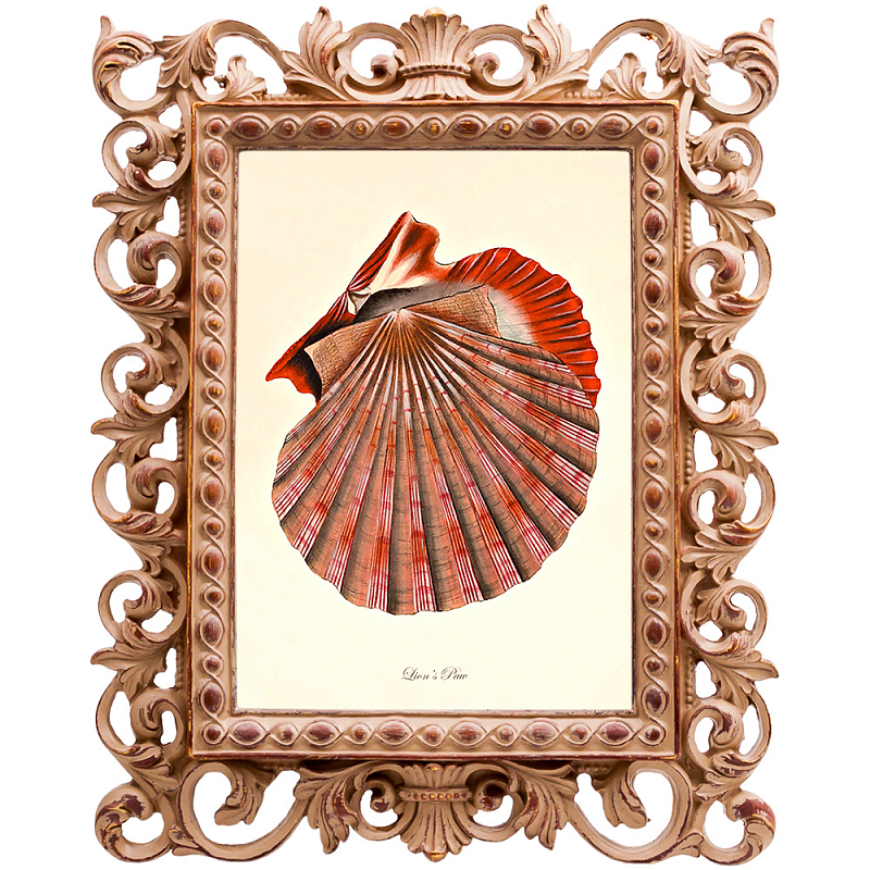 Постер Scarlet Scallop Бежевый Красный Постер Scarlet Scallop Бежевый Красный в Рязани | Loft Concept