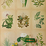Обои ручная роспись Botanical Studies Linnaeus colourway варинант исполнения - 3 | Loft Concept в Рязани