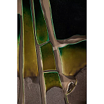 Панно «Амазония» варинант исполнения - 3 | Loft Concept в Рязани