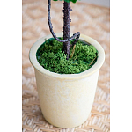 Декоративный искусственное растение Single boxwood варинант исполнения - 6 | Loft Concept в Рязани