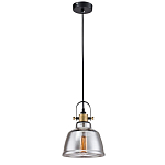 Подвесной светильник Moss варинант исполнения - 3 | Loft Concept в Рязани