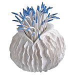 Статуэтка тропический фрукт Tropical Fruit White Blue варинант исполнения - 2 | Loft Concept в Рязани