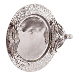 Поднос Mirror Surface Nickel варинант исполнения - 1 | Loft Concept в Рязани